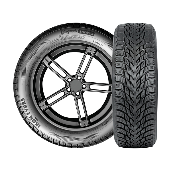 шины IKON Tyres AUTOGRAPH SNOW 3 205/65 R15